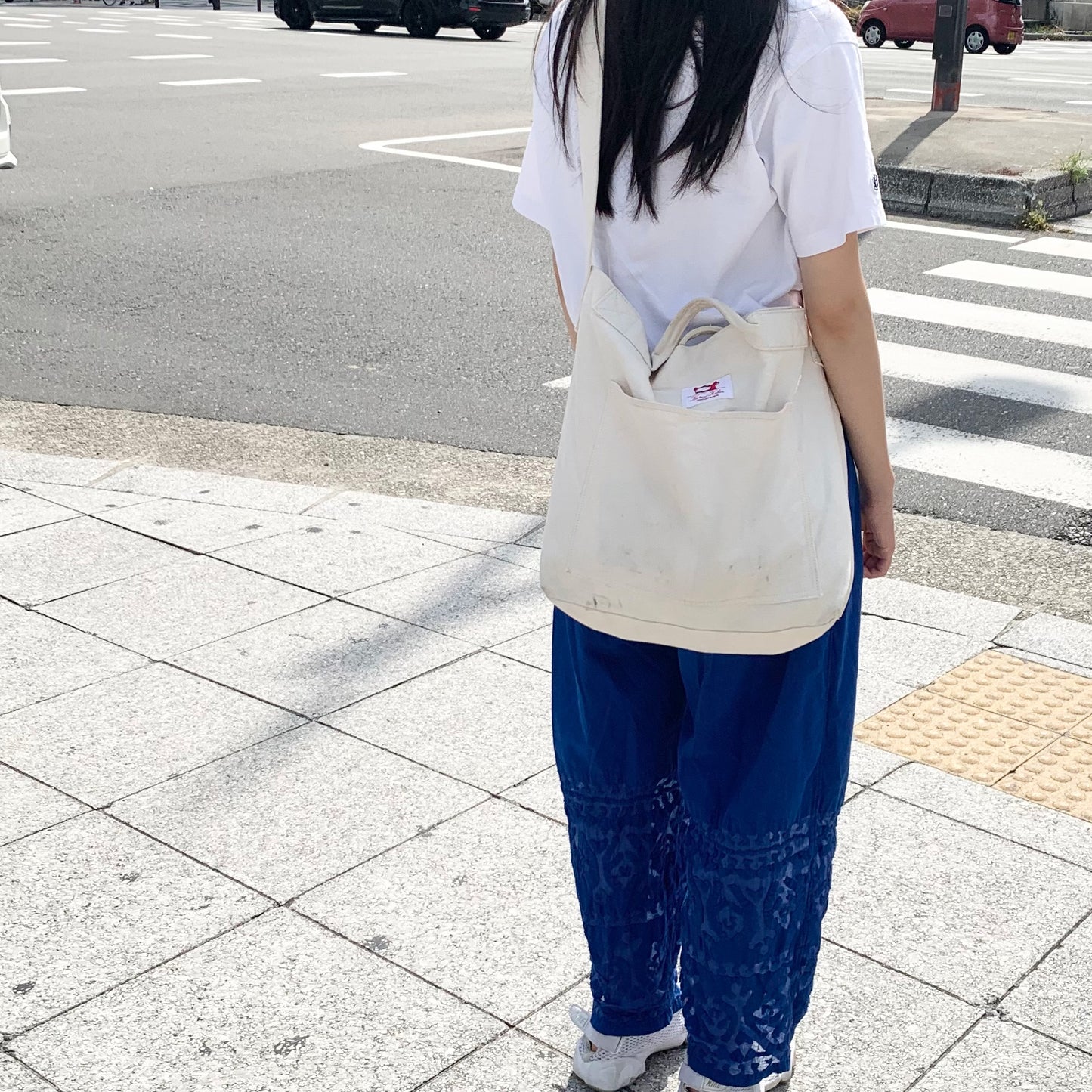 Cotton Canvas 2Way Bag